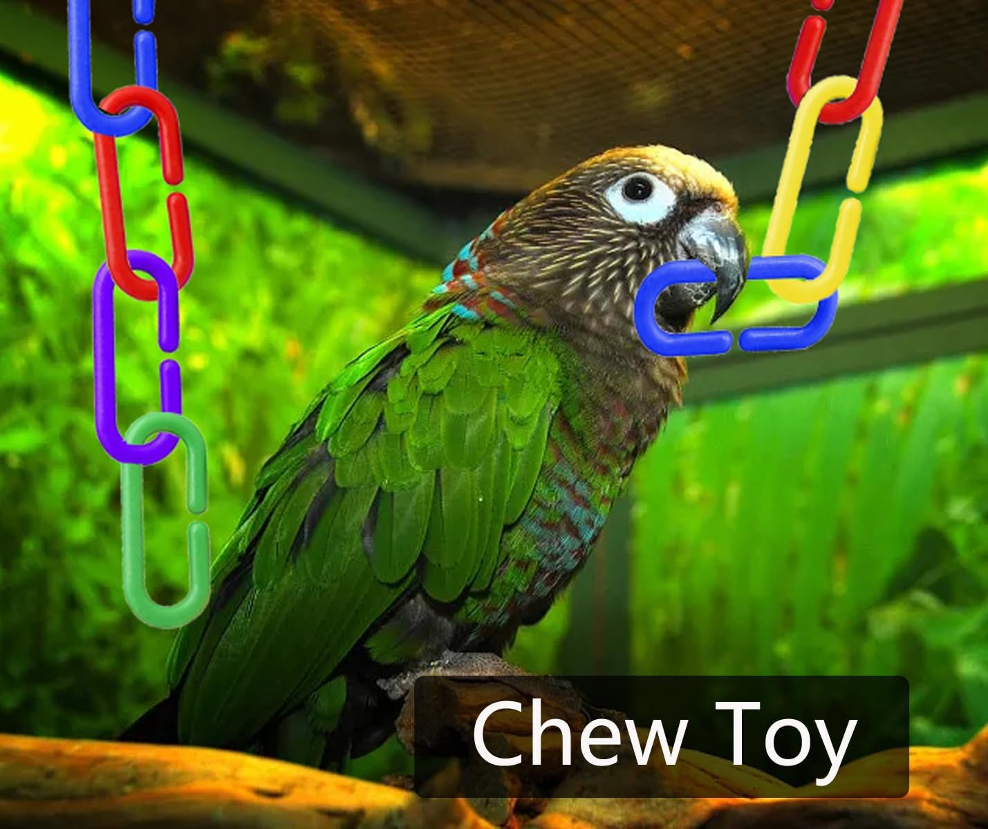 200-Piece Rainbow C-Clips Plastic Chain Links for Birds and Small Pets | Non-Toxic, Durable, and Chew-Resistant for Indoor and Outdoor Use | Easy Snap Together Design