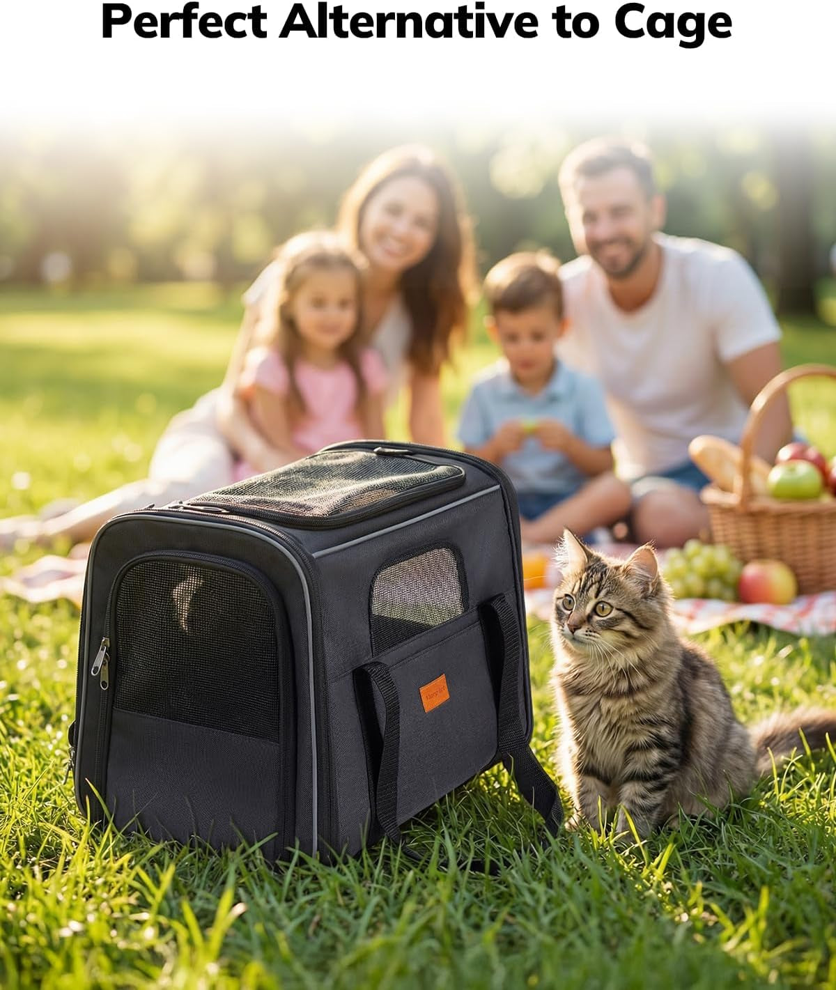 Soft Pet Carrier for Cats & Small Dogs Up to 20lbs – Airline Approved, TSA Friendly, with Cushion & Bowl